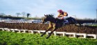 Over the Jumps
